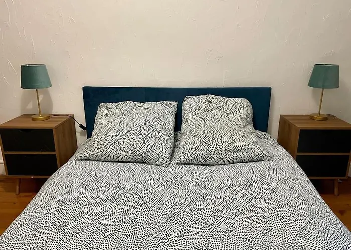 Appartement Cosy - Centre Fauriel - 6 Pers